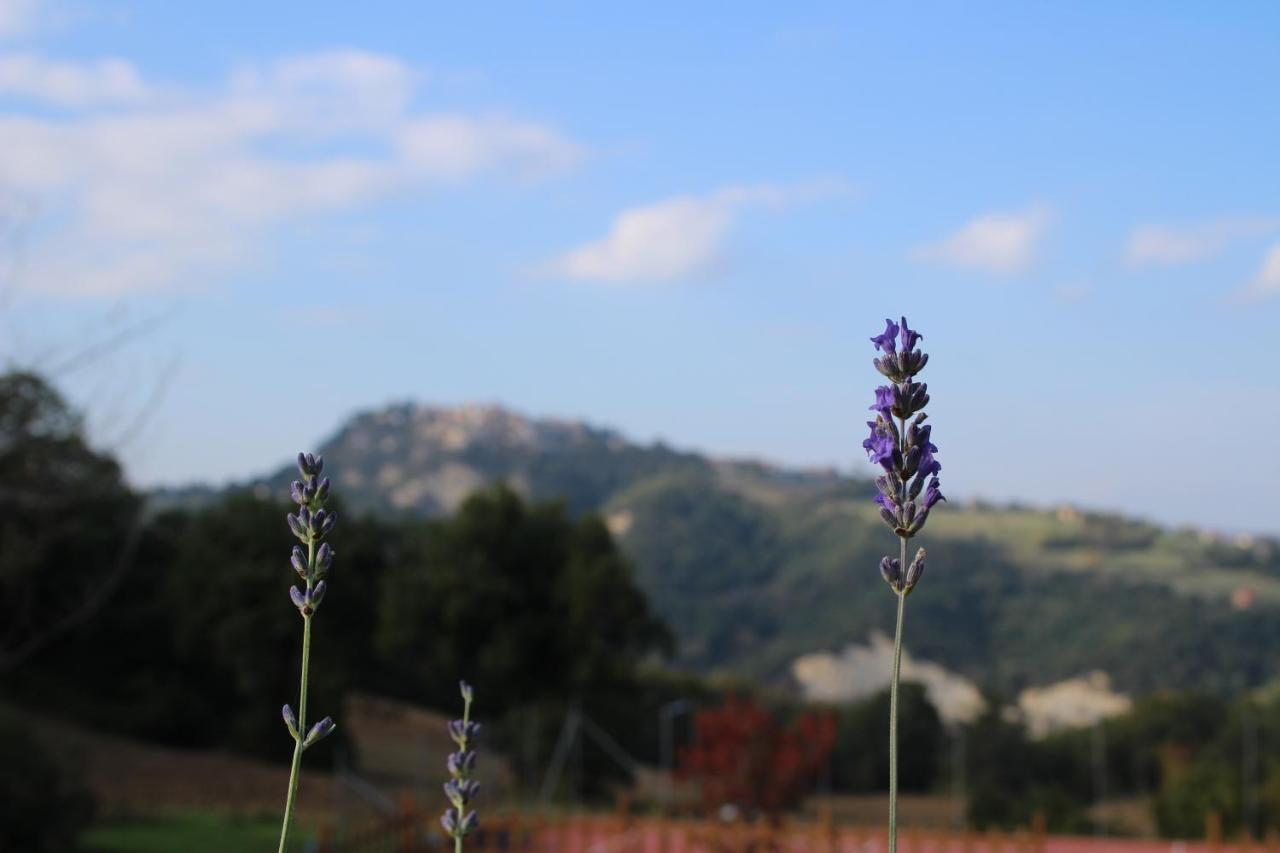 Casale Fontanile Bed&Breakfast Smerillo Esterno foto