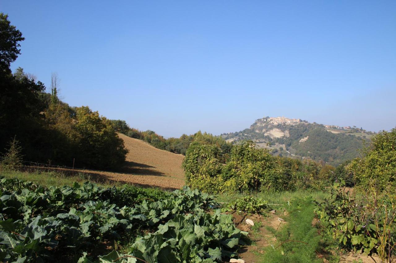 Casale Fontanile Bed&Breakfast Smerillo Esterno foto